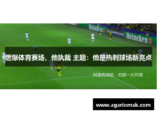 燃爆体育赛场，他执裁 主题：他是热刺球场新亮点